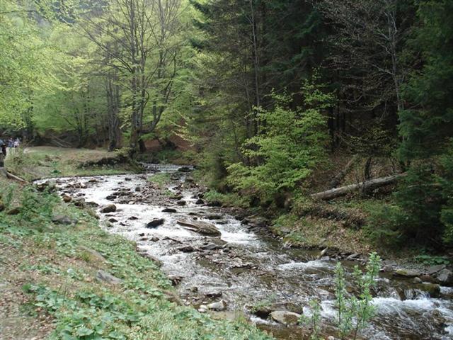 ВОДОГРАЙ "Шепіт"