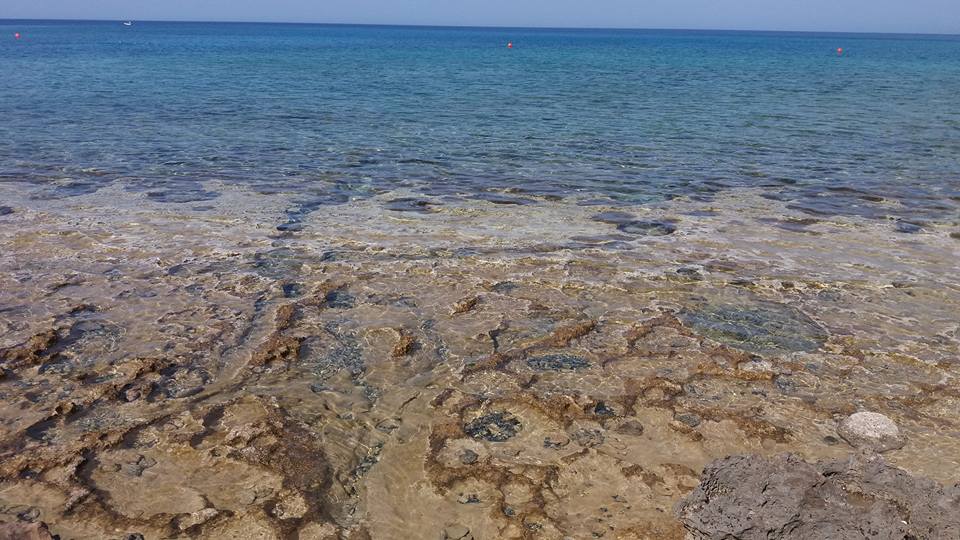 Середземне море на Кіпрі в Пафос