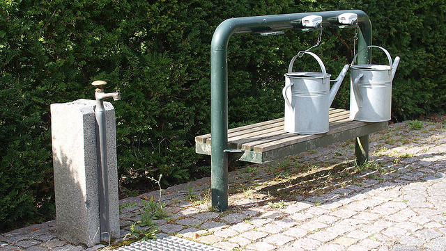 міське кладовище Assistens