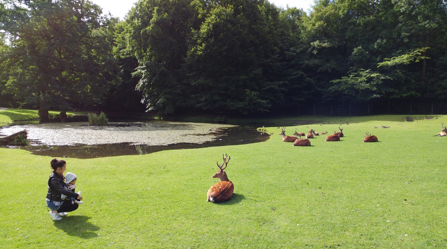 Оленячий парк (Marselisborg Deer Park)