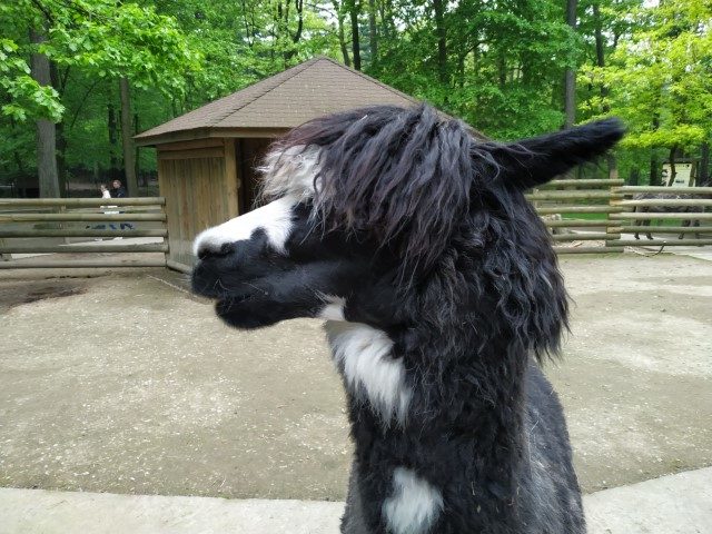 Краківський зоопарк (Ogród Zoologiczny)