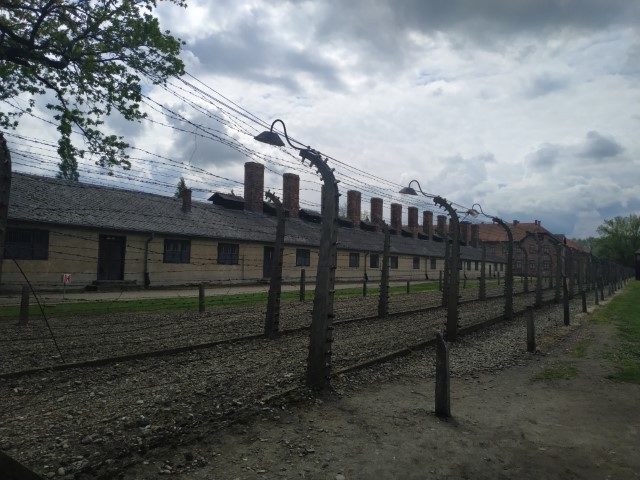 Музей auschwitz-birkenau Краків