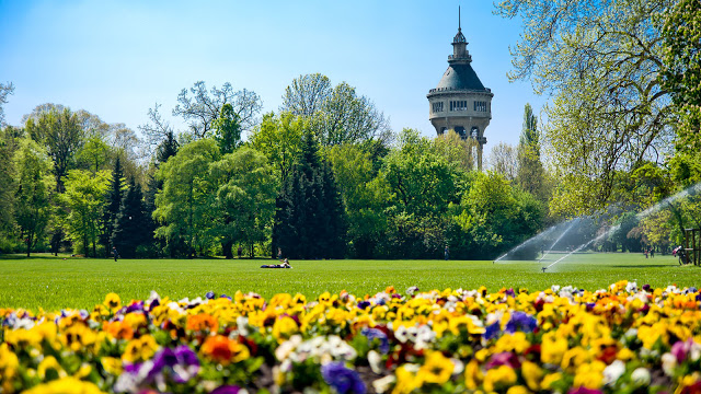 Острів Маргіт