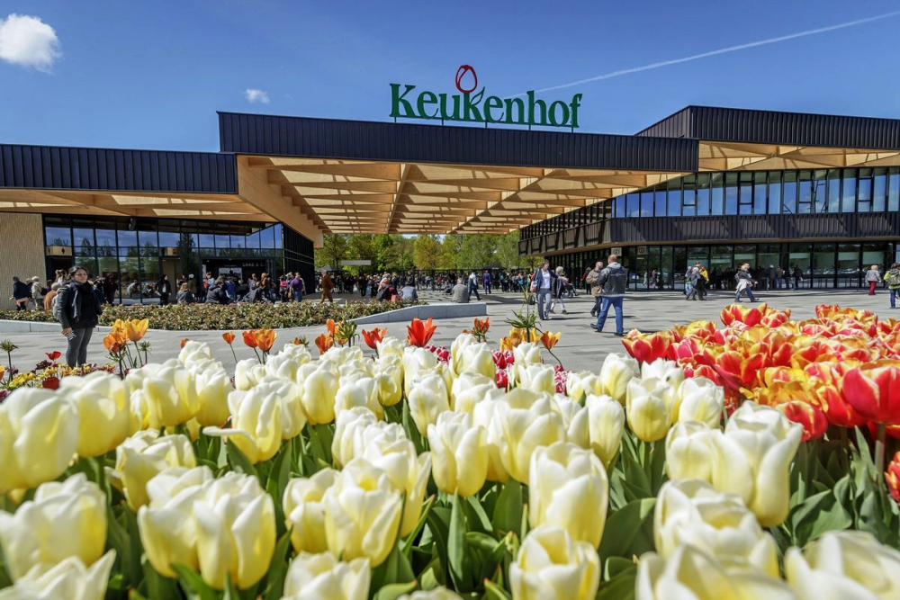 Парк Кекенхоф